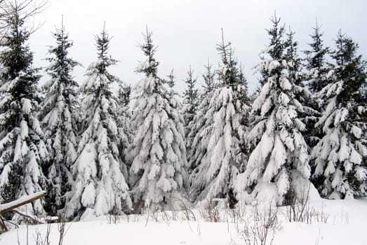 Winter in Thuringia