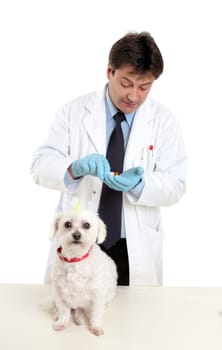 Vet with prescription