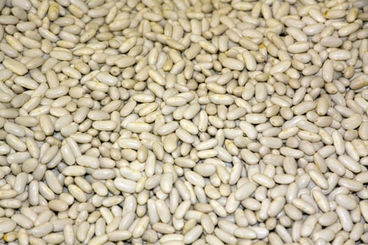 Bean varieties