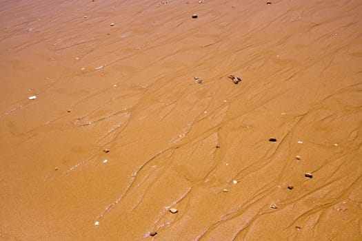 Sandy Beach,Background