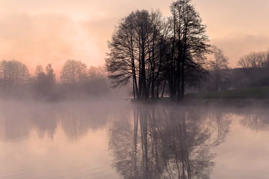 Fog in the morning