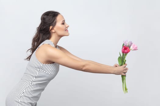 Side view portrait of pretty brunette woman holding out bouquet of tulips, giving it to her mother, congratulating on 8 March, wearing striped dress. Indoor studio shot isolated on gray background.