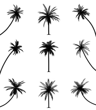 Palm trees