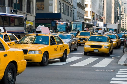 New York yellow cabs