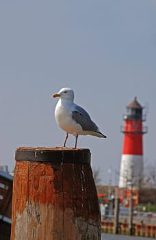 Büsum