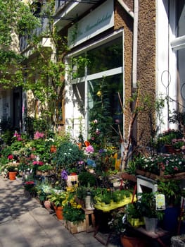 Flower shop