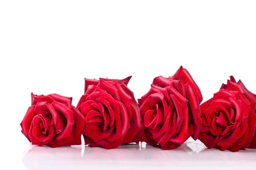 four roses wd671
