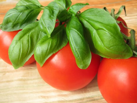 Tomato and basil