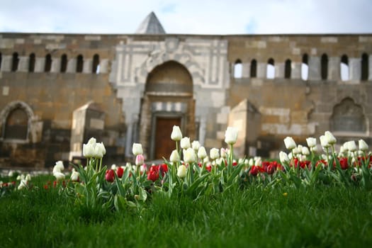 mosque