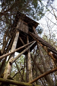 Raised hide