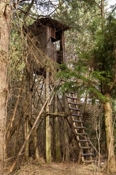 Raised hide