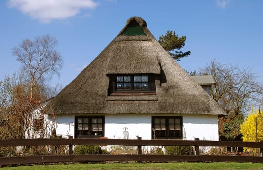 Thatched roof house