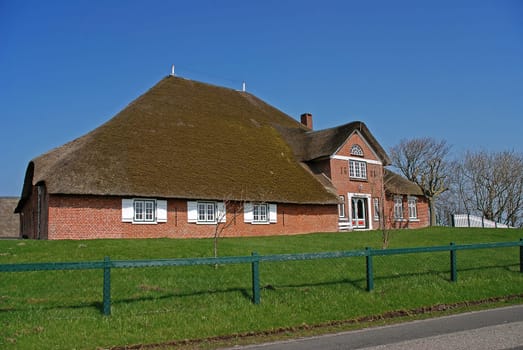 Thatched roof house