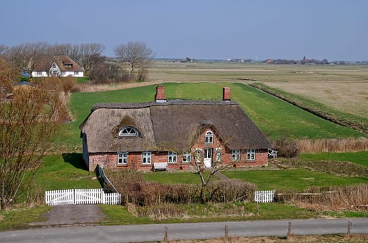 Homestead