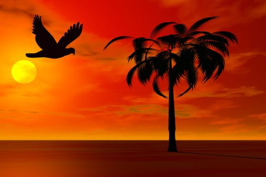 Silhouette pigeon