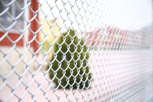 Wire netting