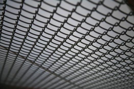 Wire netting