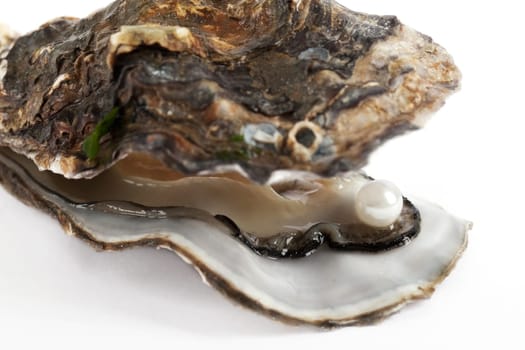 Oyster with pearl