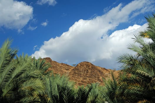 Mountain landscape of Hajar Mountains,Wilayat al Hamra,Dakhiliyah region,Sultanate of Om