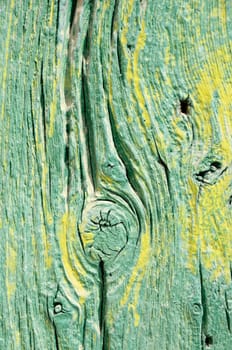 Green Wood