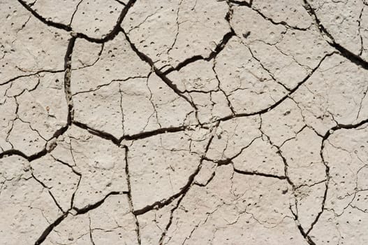 dried ground