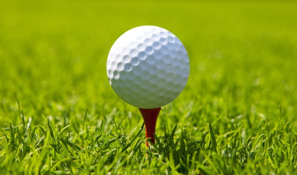 Golf ball at tee