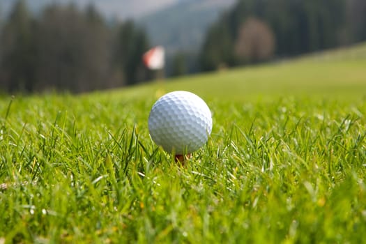 Golf ball at tee