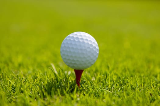 Golf ball at tee