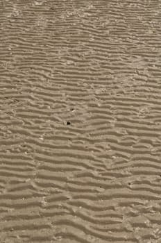 Beach Sand