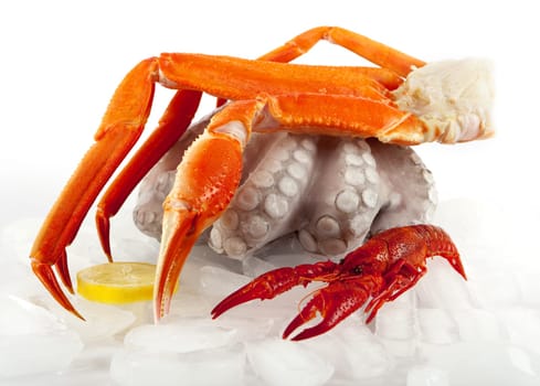 Seafood on ice