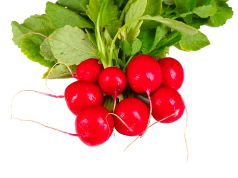 radish background