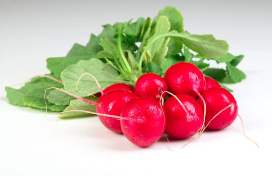 radish background