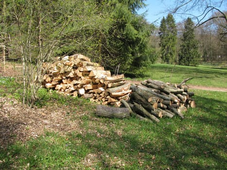 Stack of wood