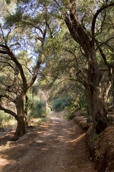 Corfu Island, Summer Holiday Destination