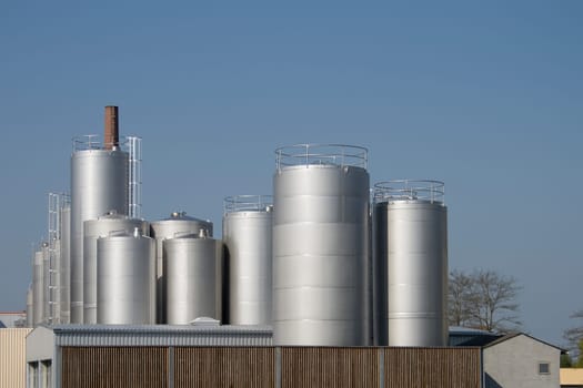 Cheese and milk factory