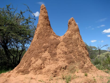 Termite mounds in Africa