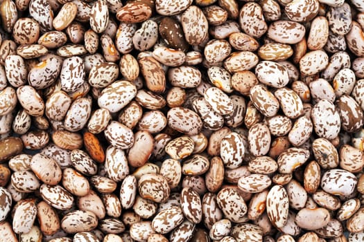 Pinto beans