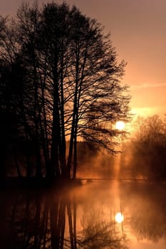 Pure silence...