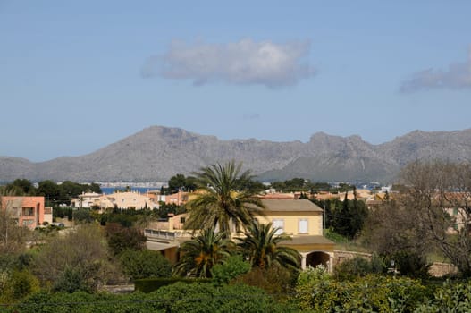 Landscape near Alcudia