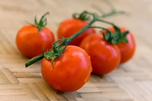 Vine tomatoes