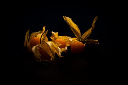 Physalis.....