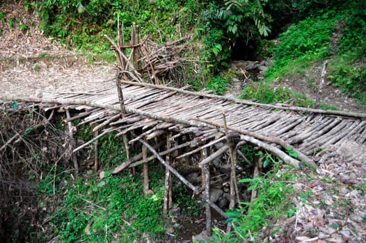 Bridge in the jungle