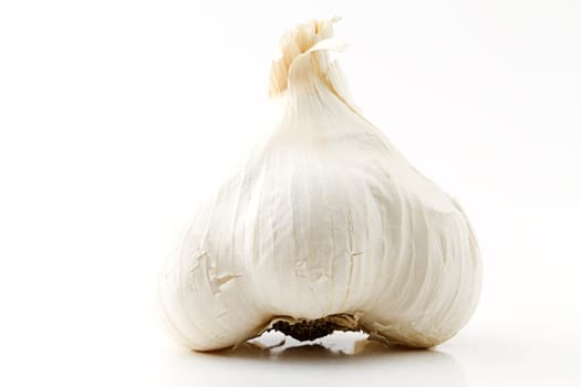 Garlic bulb