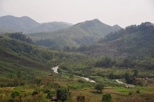 Nagaland