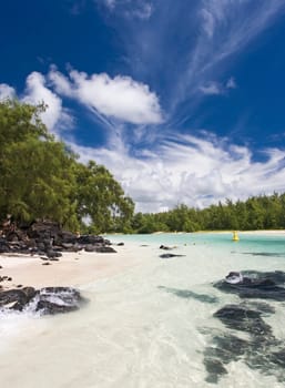 Dream Island