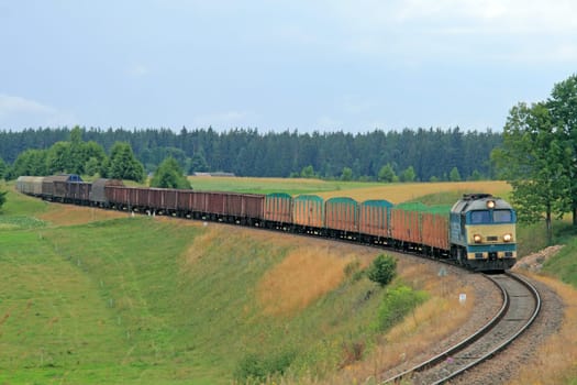 Summer landscape with the freight train