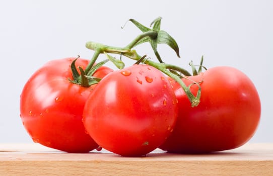 fresh tomatoes