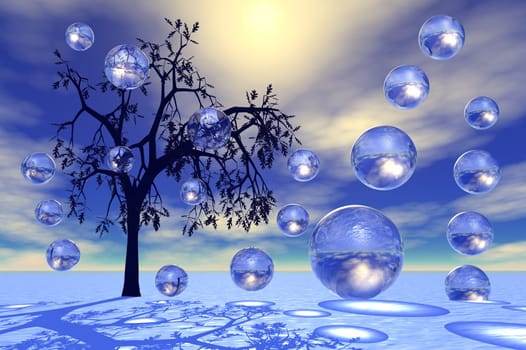 Bubbles