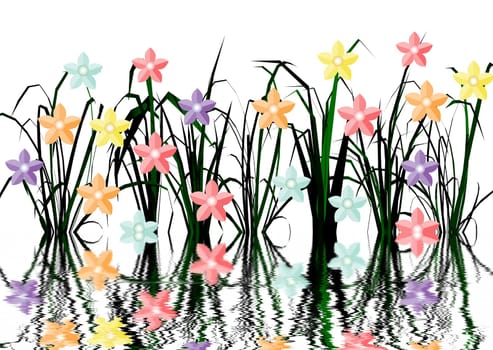 Flower Meadow Reflection