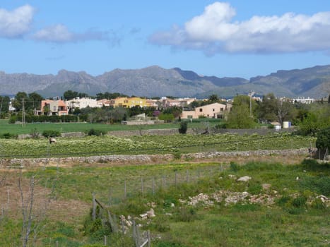 Landscape near Alcudia
